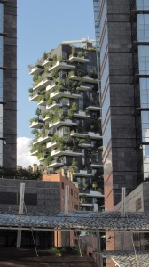 Scorcio_bosco_verticale